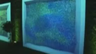 Immersive Monet exhibit opens in New York