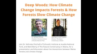 Deep Woods: How Climate Change Impacts Forests & How Forests Slow Climate Change