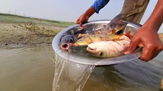 Traditional Big Fish Catch By Hand in River Mud Water | Amazing Boy Catching Fish By Hand