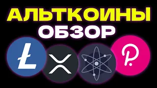 ОБЗОР АЛЬТКОИНОВ - DOT, ATOM, XRP, LTC