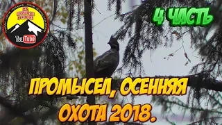 Рябчики встречают нас  /Промысел 2018 👉4 часть/