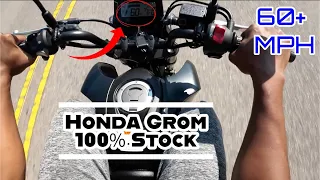 Honda GROM | 100% Stock Top Speeds | No Performance Mods