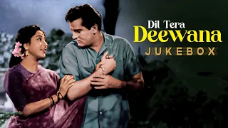 Dil Tera Deewana Evergreen All Songs In Colour | Mohd Rafi, Lata M | Shammi Kapoor, Mala Sinha