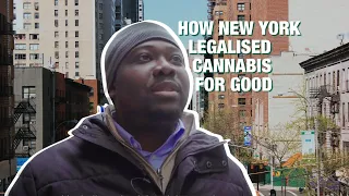 Legalising cannabis for good | Chris Alexander | Blaksox & Transform