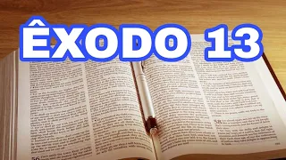 ÊXODO CAP 13 OS PRIMOGÊNITOS SÃO SANTIFICADOS A DEUS 🙌 @EMNOMEDOBRASILbr