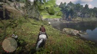 Red Dead Redemption 2 - This is why I love Hungarian Half-breds.