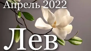 Прогноз на Апрель 2022 года  для представителей знака зодиака Лев