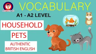 Pets Names in English | Learn Domestic Animals names | Household Pets