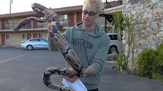 Putting SNAKES on Bad Parked Cars PRANK (NEVER DO THIS!!) - FEMALE MAGIC TOP COMPILATION 2019