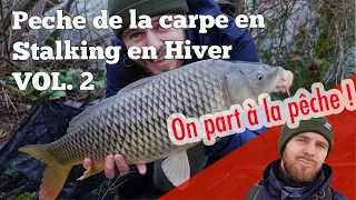 Pêche de la carpe en stalking en hiver, volume 2.