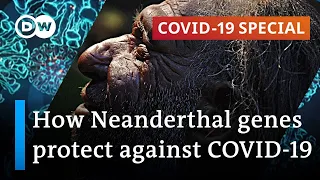 Ancient genetics are facing the coronavirus | COVID-19 Special