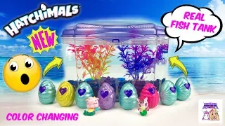 Hatchimals Season 5 Mermal Magic Color Changing DIY Aquarium Fish Tank