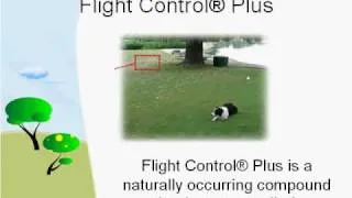 FlightControl® PLUS