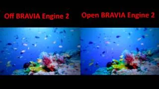 Sony Video Mobile BRAVIA Engine 2 - Comparison