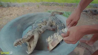 Wow! Three Brave Boy Catch Biggest Crocodile by Hand for Cook Eating Delicious