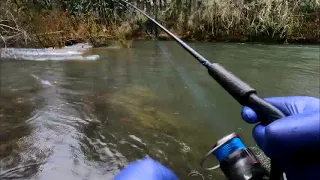 Coastal Steelhead Fishing