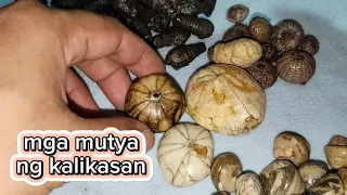 mga mutya ng kalikasan kung ituring Dito sa mindanao