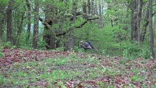 2023 Pennsylvania Turkey Hunt Pt. 1