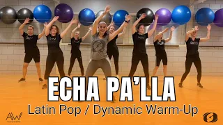 ECHA PA’ LLA by Pitbull & Papayo | SALSATION® Dynamic Warm Up Choreography by ANTO | Dance fitness