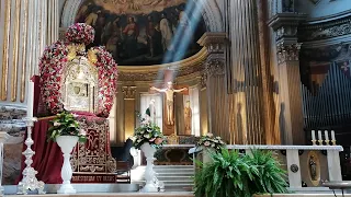 La Madonna di San Luca in città.