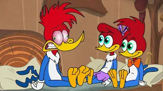 Sleepover Regrets | Woody Woodpecker