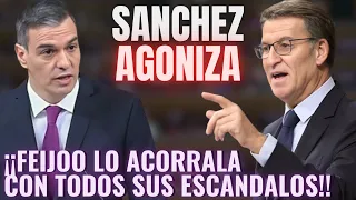 FEIJÓO NOQUEA en 15 DEMOLEDORES MINUTOS a Pedro SÁNCHEZ 🔥¡CON TODOS LOS ESCÁNDALOS QUE LE ACECHAN!🔥