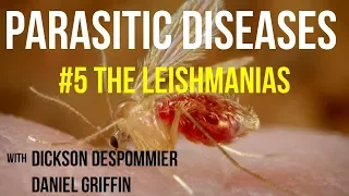 Parasitic Diseases Lectures #5: The Leishmanias