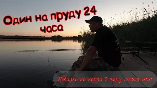 ВОТ ЭТО ПОКЛЁВКИ !!!!! | ловля карпа 24 часа | один на пруду | Водоем Каневской | HD