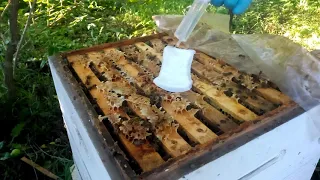 Обработка пчёл муравьиной кислотой от клещей Вароа. Эксперименты с дозировкой и концентрацией.