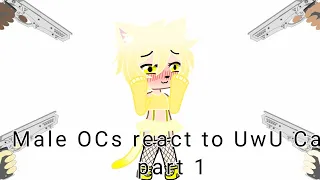 My male OCs meet the UwU Cat • Gachaclub • part 1 • read description