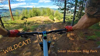 Wildcat // Silver Mountain Bike Park | JaysonTylerMTB