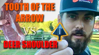 Tooth Of The Arrow Broadhead Vs Deer Shoulder