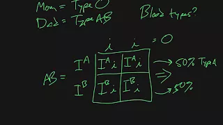 Blood Type Punnett Squares