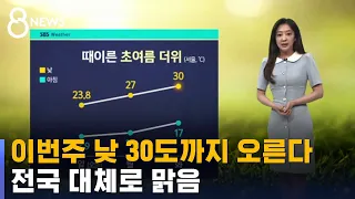 [날씨] 이번주 낮 30도까지 오른다…전국 대체로 맑음 / SBS 8뉴스