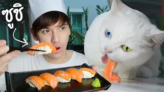 ทำซูชิให้แมวกินครั้งแรก!! Sushi for Cats | ติดเต๋า