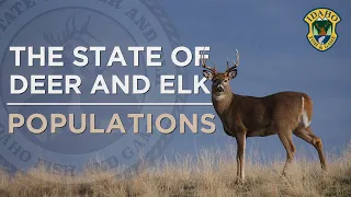 The State of Deer and Elk: Populations