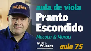 PRANTO ESCONDIDO | Mococa e Moraci - Aula de Viola e Música Completa - Live #75 - Paulo Tavares