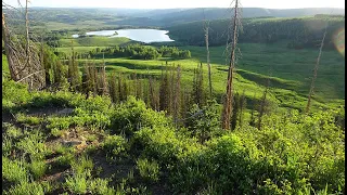 Fly-Fishing: Trout Live in Beautiful Places