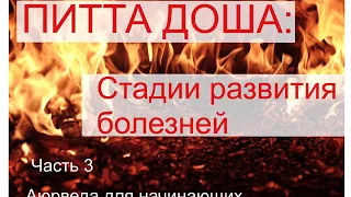 Питта Доша: стадии развития болезней. Часть 3. Аюрведа для начинающих.