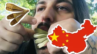 Jaw harps around the World - Chinese Kou Xiang (口弦)