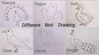 how to draw different bird drawing easy step by step@DrawingTalent