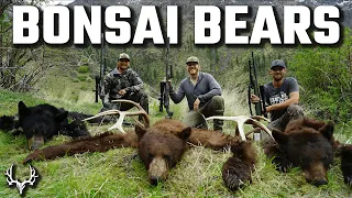 Remote DIY Backcountry Bear Hunt - Bonsai Bears | Muley Freak