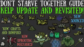 Kelp Updated & Revisited! NEW Crafts, Mechanics & More! - Don't Starve Together Guide