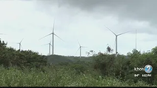 Kahuku wind project to close highway, protest continues