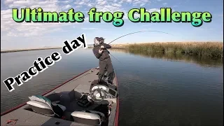 ufc practice day 2018 ultimate frog challenge