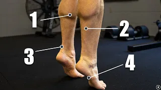 Chronic Ankle Instability | Recurrent Lateral Sprains (Strength | Plyometrics | Balance Exercises)