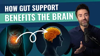 The Science of Probiotics: The Top 4 Gut & Brain Health Benefits EXPLAINED