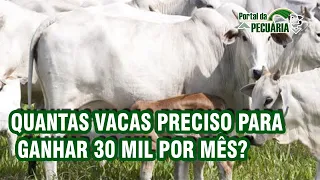 Quantas vacas preciso pra ganhar 30 mil por mês?