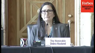 INTERIOR SECRETARY HEARING: Rep. Deb Haaland's opening statement