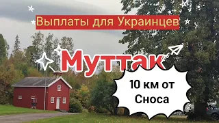 Что платят украинским беженцам в Норвегии